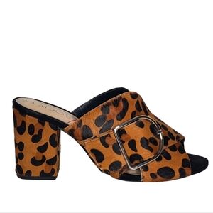 Sole Society Leopard Sandals